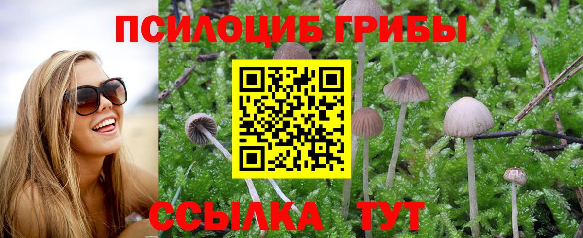 Губкинский  Псилоцибиновые грибы GOLDEN TEACHER  Вход с VPN  Галлюциногенные грибы Cubensis 