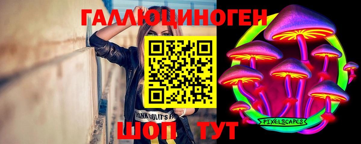 МЕТ  Вход с VPN  МДМА  NBOMe  Меф   Губкинский  МАРИХУАНА  ГАШ  ЭКСТАЗИ 